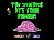 Surfer Zombie ate the player's brains