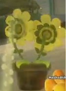 Twin Heal Flower back