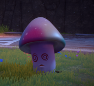 Another close-up of Hypno-shroom