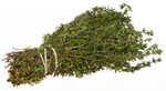 Thyme-Bundle