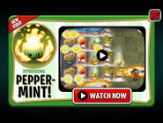 Pepper-mint in an ad