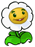 Marigold4.png