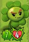 Plucky Clover with 7/4 due to Pecanolith's ability