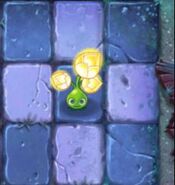 A Gold Bloom not giving sun (only possible once level is complete) advertisement for Gold Bloom