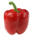 Red-bell-pepper01-lg