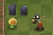 Burning a Sunflower (animated)