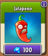 Jalapeno in the new store