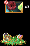 Obtaining Meteor Flower's seed packets from a piñata (10.2.1)