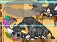 Defeated Rodeo Legend Zombie