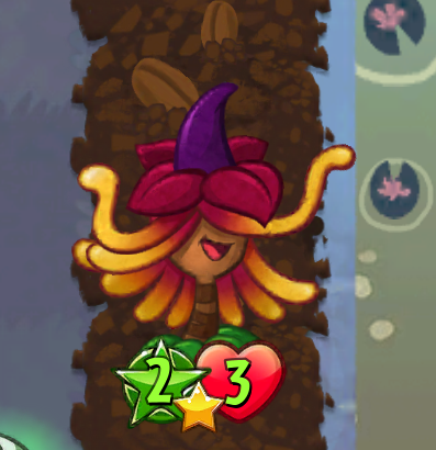 witch hazel 4 pois witch hazel 4 pois