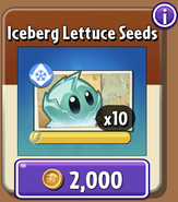 Iceberg Lettuce's seeds in the store (10.2.1)