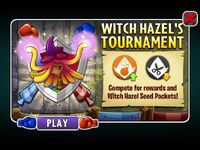 WitchHazelsTournament