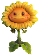 HD Sunflower