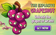 An advertisement featuring Grapeshot