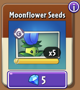 Moonflower's seeds in the store (10.2.1)