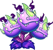 HD Powered Dragon Bruit
