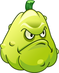 La imagen debe mostrar el chayote