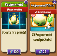 Pepper Mint and his seed packets in the Store