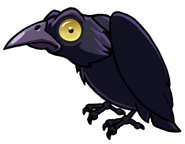 Dark Raven