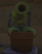 A close-up shot of Pea Cannon