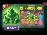 Reinforce-mint in an ad