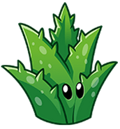 HD Aloe Vera