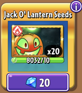 Jack O' Lantern's seeds in the store (Gold)