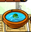 A sleeping small Sea-shroom in Zen Garden