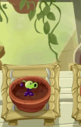 Goo Peashooter being watered in the Zen Garden