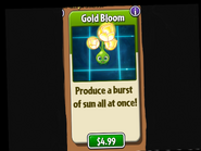 Gold Bloom in Stores 6.3.1