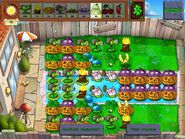 MS LSE 20.jpg (395 KB) Moon Snail flag 20