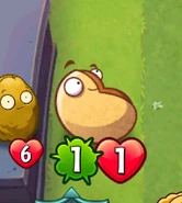 Gigantic Small-Nut due to a glitch