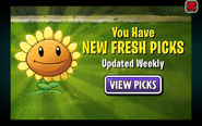 Sunflower in an advertisement