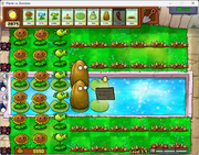 Rainstar999 strategy 3-9