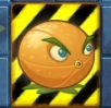 An endangered Citron