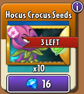 Hocus Crocus' seeds in the store