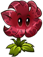 HD Meteor Flower
