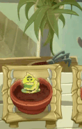 Solar Sage being watered (animated, 10.5.2)