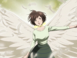 Wings (Anime)