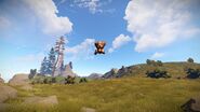 A floating Pookie Bear.