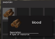 Wood in the Inventory