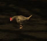 The chicken in older versions of Rust