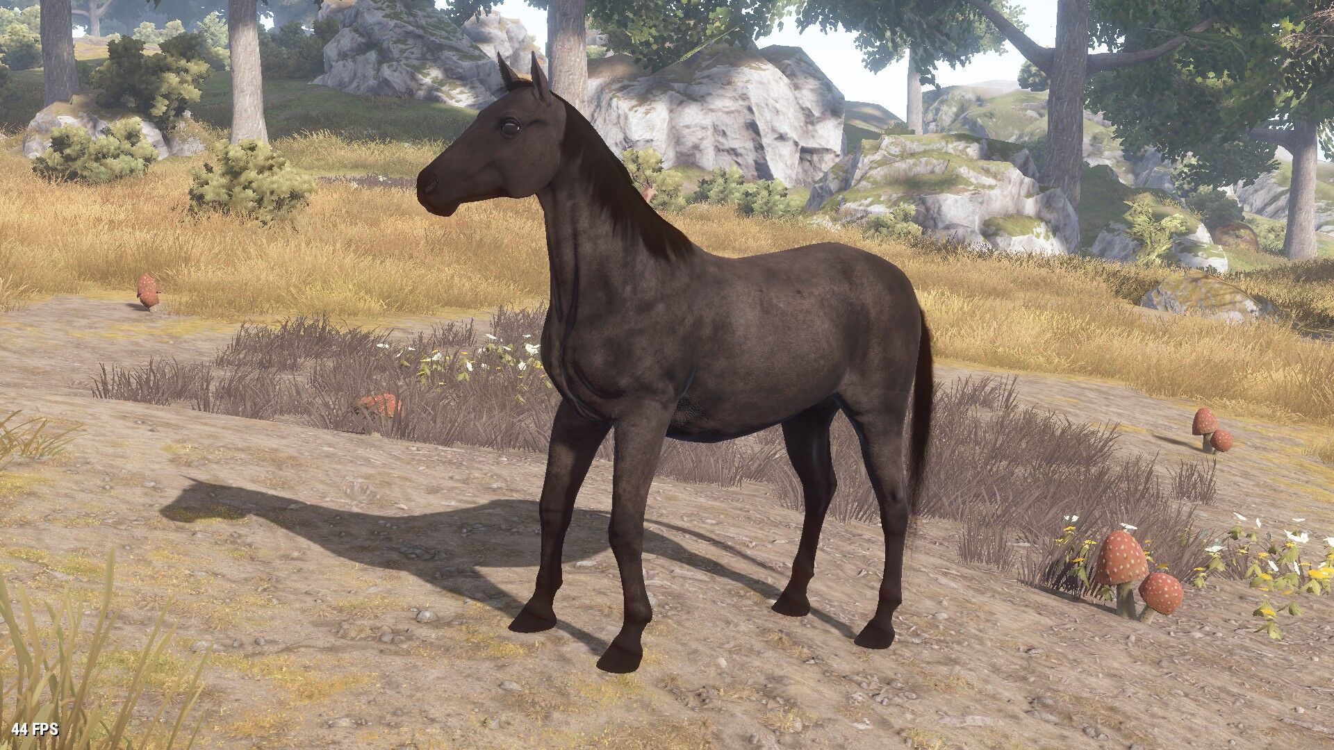 Horses Rust Wiki Fandom