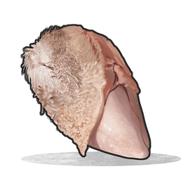 Raw Deer Meat icon
