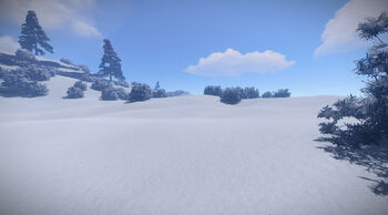 Snow biome