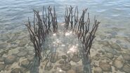 An in-game view of the Survival Fish Trap.