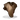 Hide Poncho icon