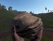 Rock in game.jpg (779 KB) A Rock being held.