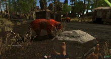 Rust Mutant Bear
