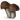 Mushroom icon